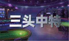 <b>材料大全+正版材料2024年最新版_材料大全</b>