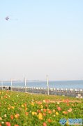 <b>2月3日今天立春时间几点几分 2025年打春精</b>