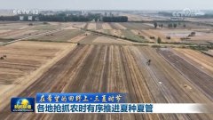【正在但愿的郊野上·三夏时节】各地抢