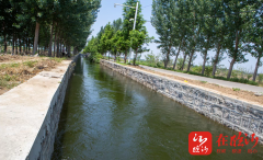 临沂市罗庄区：全力守护农田灌溉“生命